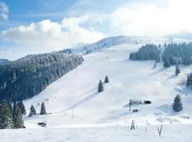 Alpine Escape & Wellness Stay