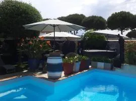 Location Chambre d'hôtes Grau du Roi Mas des Marines Piscine Adult only