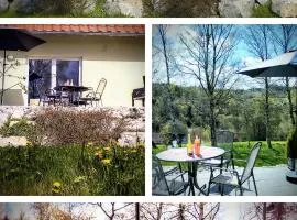 Behagliches Ferienhaus Zaunkönig -mit Kamin und Sauna- Blick über das romantische Bodetal