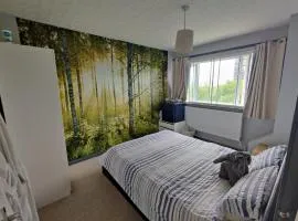 Dan's House