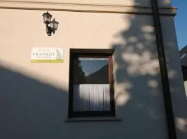 Apartma Praprot