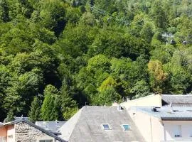 appartement cosy hyper centre de Cauterets