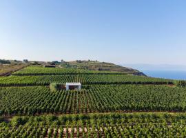 Tenuta di Castellaro Winery & Resort