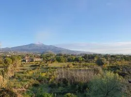 ETNA VIEW