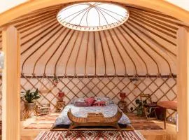 Luxury yurt glamping at Littlegrove