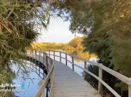 Azraq Lodge