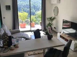 Appartement 2 pièces - Le Berceau