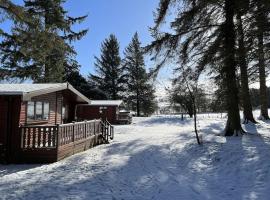 Secluded Pine Lodge 1, apartemen di Carlisle