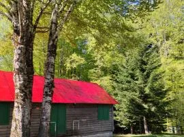 Orme nel parco - Villaggio Grechi