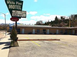 White Pine Motel โรงแรมที่สัตว์เลี้ยงเข้าพักได้ในอีลี