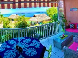 Superbe bord de mer, accès lagon et piscine privée