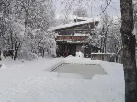 Cabaña Lodge los Coihues VALLE LAS TRANCAS# TERMAS DE CHILLAN#NEVADOS DE CHILLAN