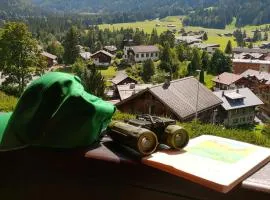 Studio avec vue splendide sur les Diablerets