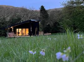 Quirky, Luxury Hideaway, cabin in Llanbrynmair