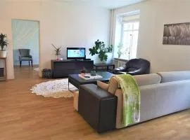 DT apartment, spacious and free parking