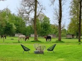 Gite Haras du Bois de Formerie