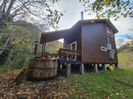 Entre Pampa y Bosque, hotel in Villarrica