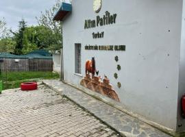 Golden Paws Guesthouse, hotel with parking in Çatalca