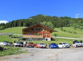 STUDIO, hotel near Col de la Forclaz Mountain Pass, Montmin