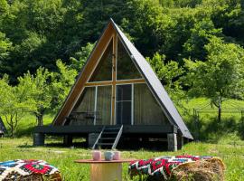 Cabane A-Frame Svinița, מלון ליד Lepenski Vir, Sviniţa