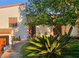 Villa Rita Apartament & Rooms