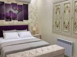Luxury Apartment