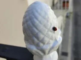 DIMORA STORICA ALLA ROTONDA