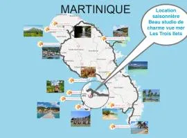 Studio de charme VUE MER 2 personnes ENTIEREMENT RENOVÉ