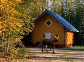 Moose Tracks Cabin in North Pole, Alaska，North Pole的飯店