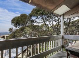 Shamrock 8, holiday home in Mount Hotham