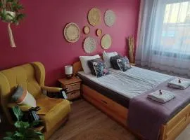 Apartament Żuławy, na wyłączność