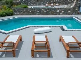Grand Villa With Sea View And Private Pool Up To 8 Persons Apv Golden Beach Paros