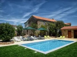 8 bedrooms villa with private pool furnished garden and wifi at Celorico de Basto