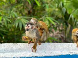 Hospedaje Colibri, hotel en Manuel Antonio