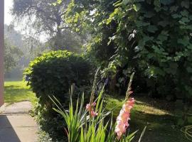 Niki i Lazo, beach rental in Bajina Bašta