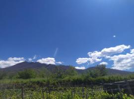 L'orto del Vesuvio di Laura Guidone โรงแรมในซาน เซบาสเตียโน อัล เวซูวิโอ