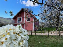 Countryside Guest House, lodge in Nikšić