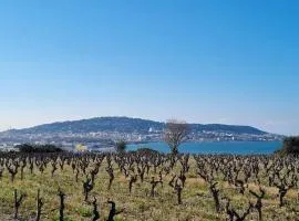 Maison de campagne vue Étang de Thau !