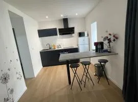 Appartement T2 à centre ville