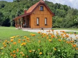 Family friendly house with a swimming pool Gospic, Velebit - 21171