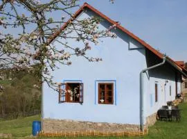 Country house - Slapy/Pazderny