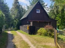 domki nad jeziorem, las, do 10 osób jezioro Wilczyńskie Budzisławskie - domek letniskowy osobno ogrodzony, ogrzewany mile widziane pieski, zwierzeta- wielkopolska, 62-550 Zygmuntowo gm Wilczyn