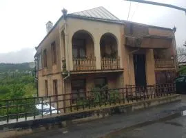 HOTEL Shaumiani