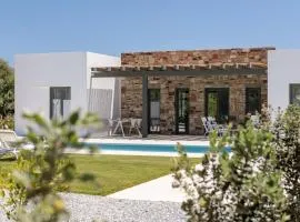 STONE VILLA NAXOS