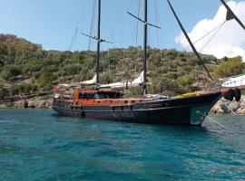 Arielle 1 - Lüks Tekne, barco en Fethiye
