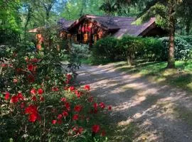 Chambre d'hôte txaleta (le Chalet)