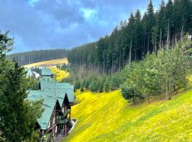 Nordian chalet next to Bukovel ski lift, cabană din Bukovel