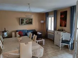 Mas provençal with terraces and small garden
