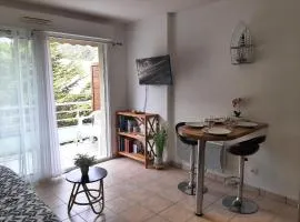 Appartement charmant avec balcon, proche centre de Capbreton, parking inclus - FR-1-239-941