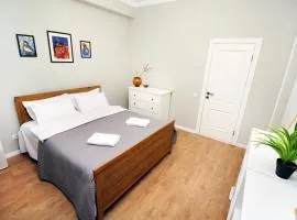 Perfect spacious apartment 365